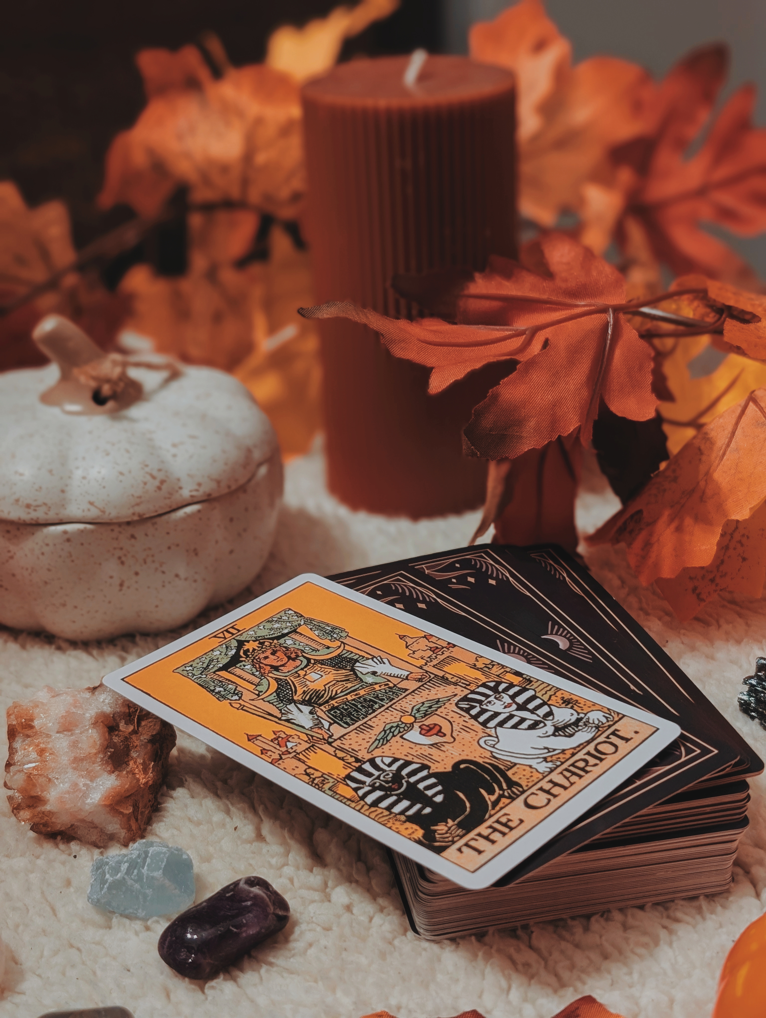 Online Video Readings